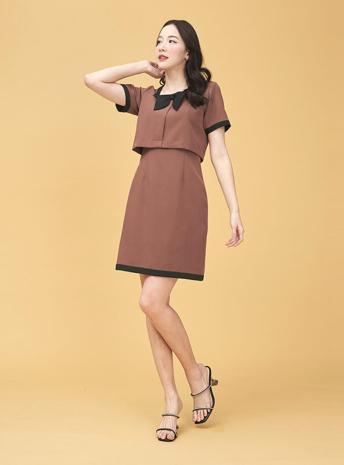 Olivia dress-brown